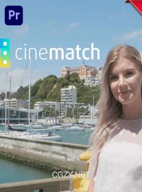 中文汉化PR/AE摄像机色彩空间匹配调色插件FilmConvert CineMatch