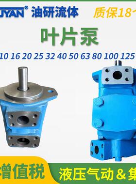 YB-E10液压6.3油泵12叶片泵16202532YBE40506380双联泵100