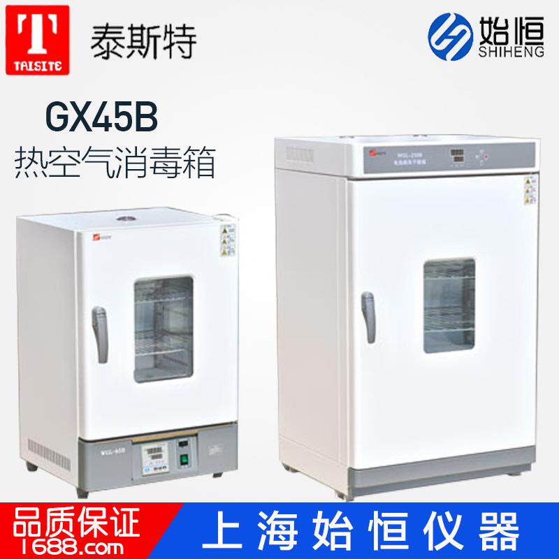 泰斯特GX45B热空气消毒箱干热灭菌箱远红外干燥箱