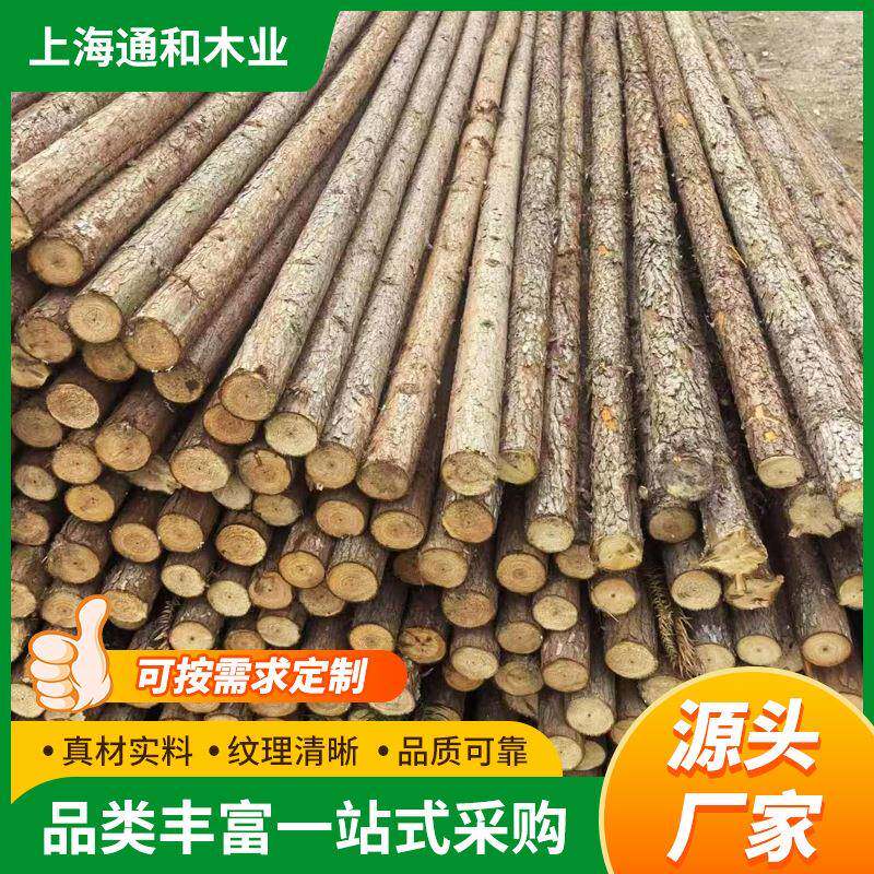 杉木原木桩户外河道驳岸松木圆木桩园林绿化苗木植树落叶松木桩