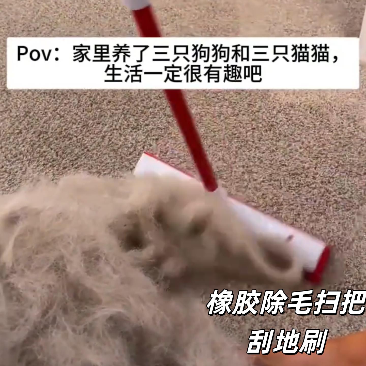 除毛宠物地毯扫把猫毛狗毛家用不粘毛清理魔术刷地板头发拖把扫地