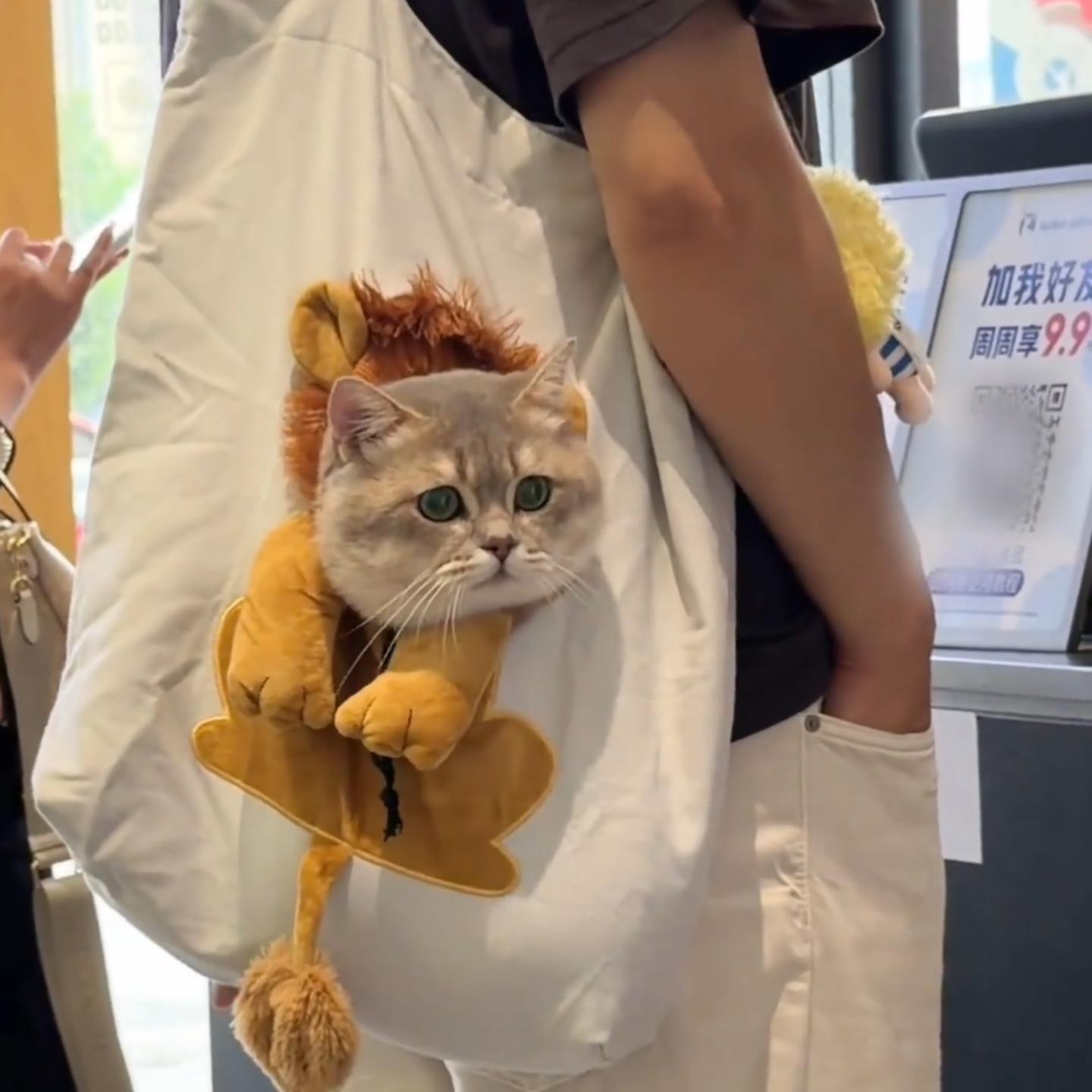 猫外出便携斜挎小型单肩宠物手提露头帆布轻便小狮子猫比熊大容量