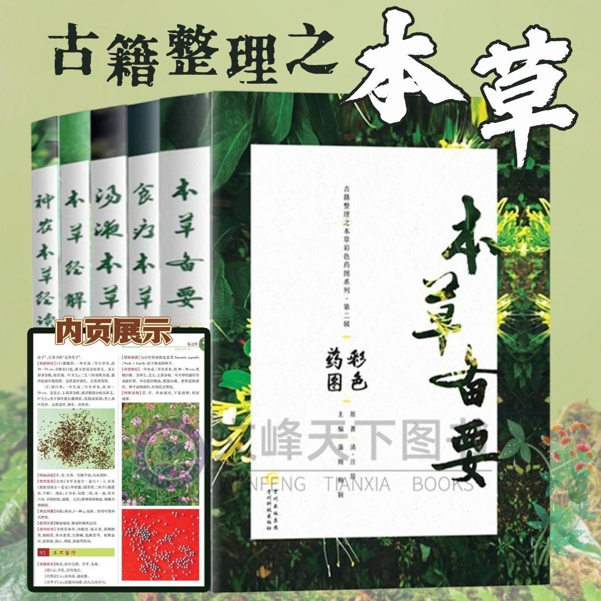 【文峰天下】特色中草药及配方本草备要系列奇异中草药中草药彩色图谱系列性味功效实用中草药经解汤液本草食疗神农本草经读第二辑,书籍/杂志/报纸,中医,淘宝优惠券,粉丝福利购,淘宝优惠卷