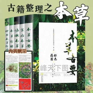 【文峰天下】特色中草药及配方本草备要系列奇异中草药中草药彩色图谱系列性味功效实用中草药经解汤液本草食疗神农本草经读第二辑