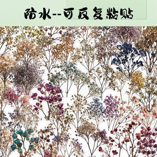复古干花满天星创意花卉贴画
