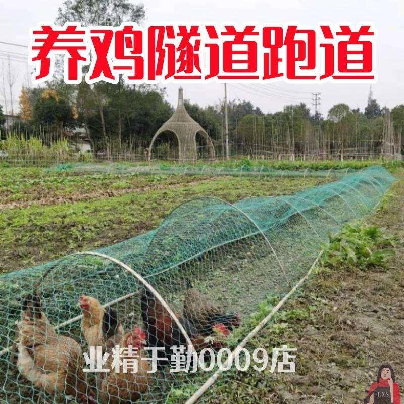 隧道养鸡笼养鸡跑道隧道养殖溜达鸡走地鸡专用的跑道笼子散养鸡户