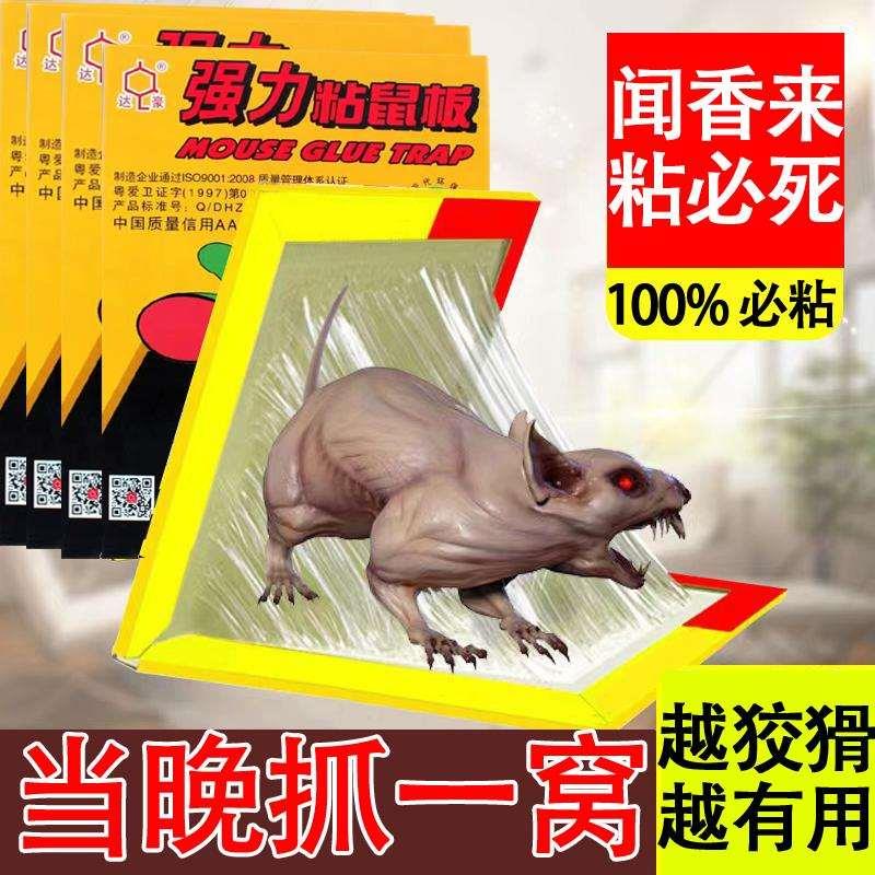 达豪粘鼠板强力胶粘大老鼠夹捕鼠器家用超大耗子夹老鼠贴黑色xf