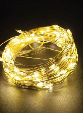 Christmas tree New Year decoration LED Fairy Lights String