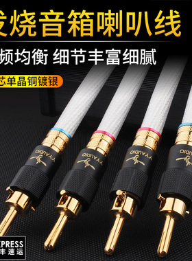杨阳发烧喇叭线单晶铜镀银hifi自锁香蕉头音响箱线功放音频连接线