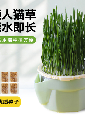 猫草水培盆懒人水培杯种植猫草杯盆栽排毛球化毛草猫草盆猫咪零食