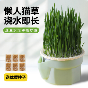 猫草水培盆懒人水培杯种植猫草杯盆栽排毛球化毛草猫草盆猫咪零食