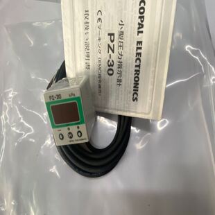 COPAL PZ-30-MVST 小型压力指示计 未