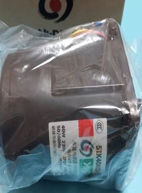 Hi-PRO本都5IK40RGN-C马达电机AC22