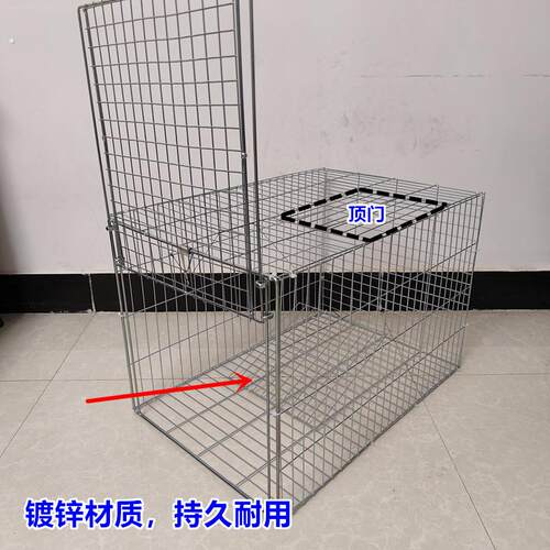 自动落门天落笼鸽子笼可折叠便携笼户外只进不出防跑连续收鸽笼