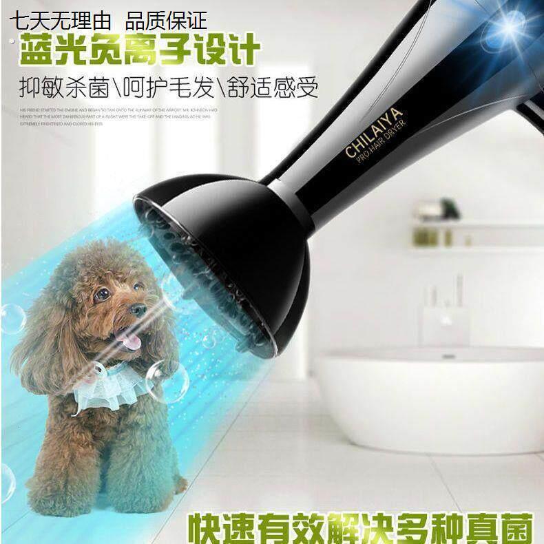 宠物吹风机大功率宠物吹毛吹干洗澡工具大小型犬吹水烘干猫狗通用