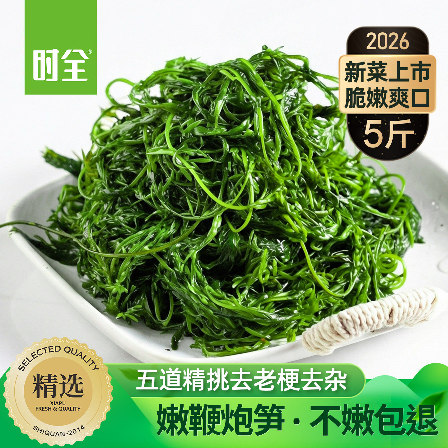 时全嫩鞭炮笋人工精挑马尾藻商用图片