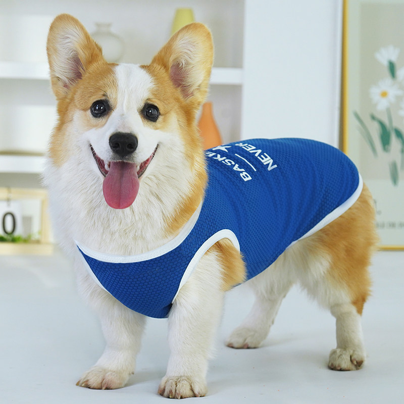 网红宠物狗狗衣服夏季薄款柯基中小型犬用品防掉毛防晒衣法斗背心