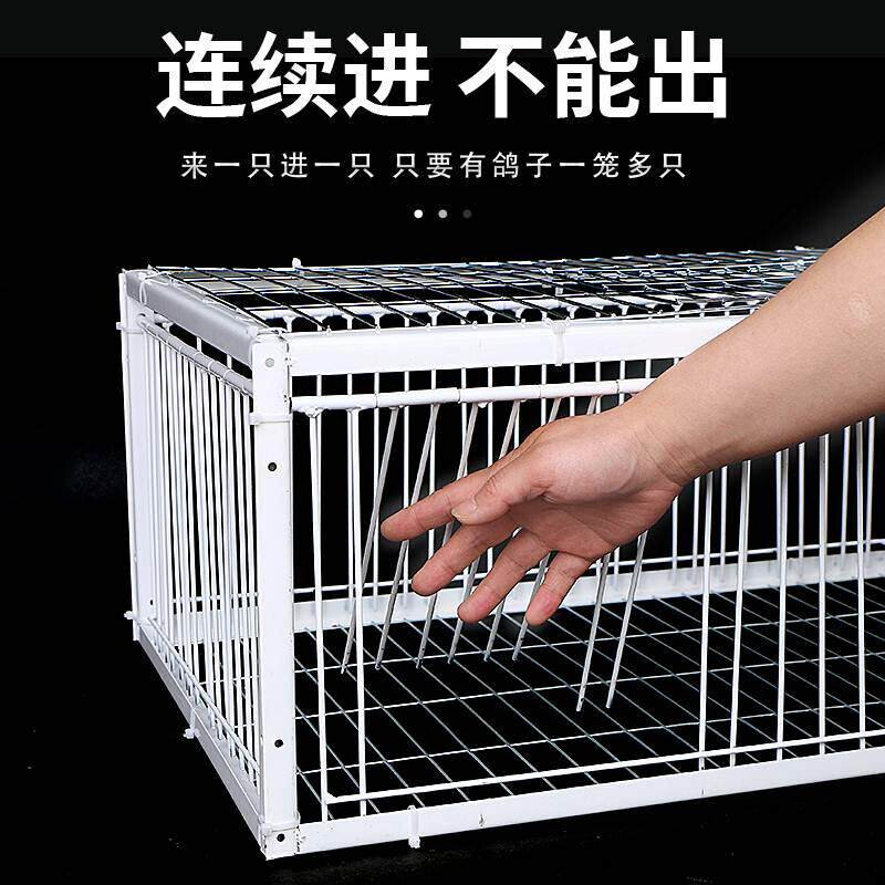 新款天落笼鸽子笼加厚加密自动收鸽子神器活络门撞门户外只进不出