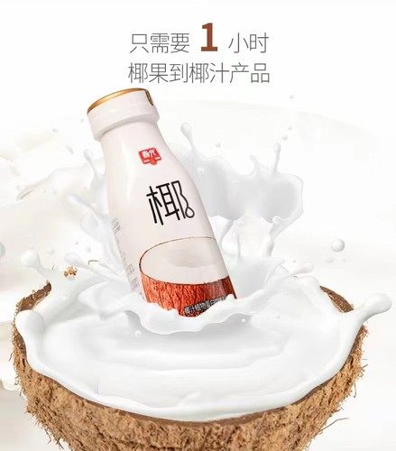 海南特产春光无添加植物蛋白饮料