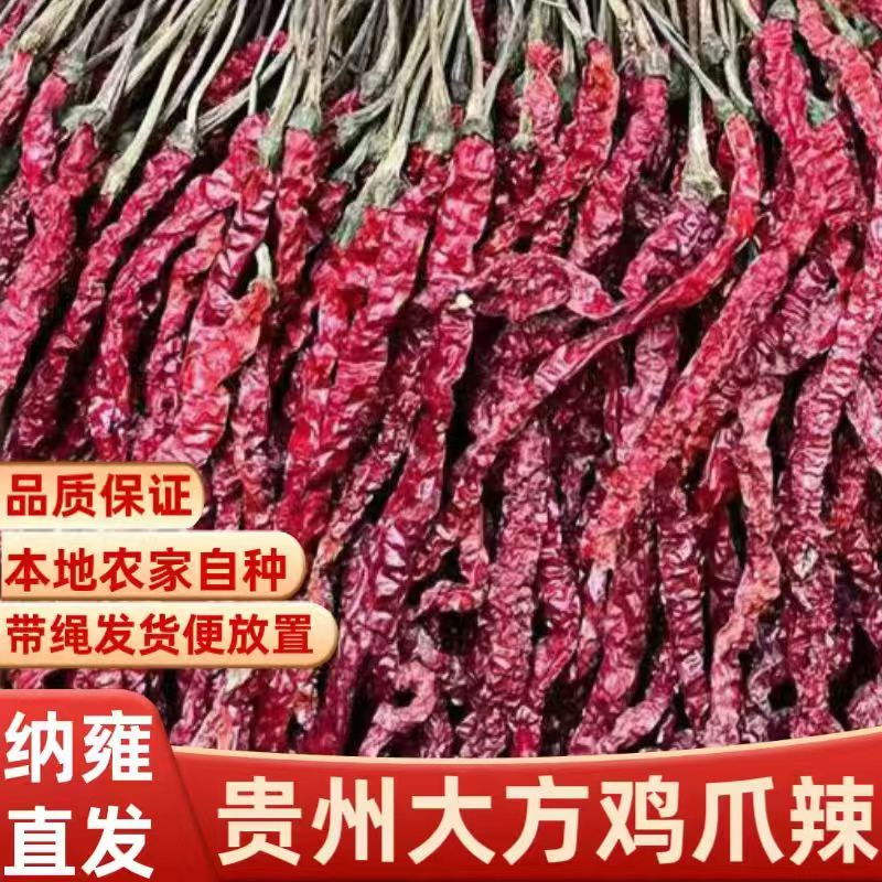 皱椒二荆条农家肉厚干辣椒种子