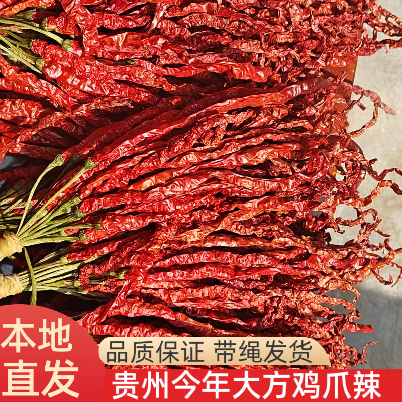 毕节本地特产鸡爪辣皱椒红辣椒