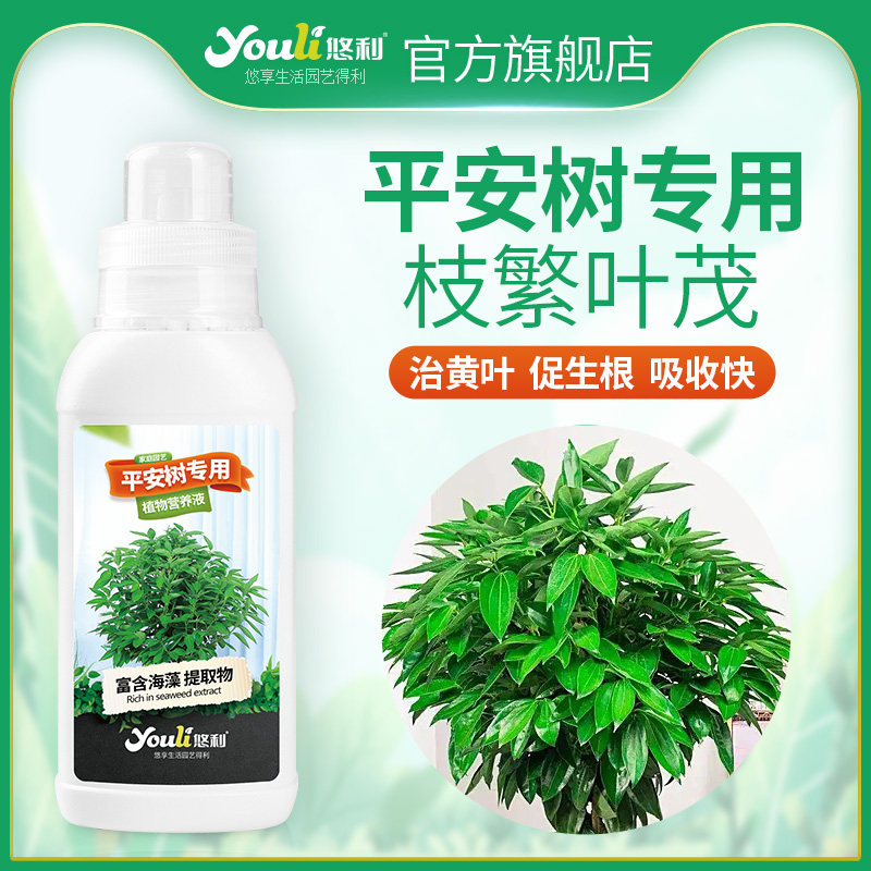 悠利平安树专用营养液肥料专用肥土培植物盆栽