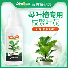 悠利琴叶榕专用肥料掬涵营养液浓缩型植物通用肥料颗粒