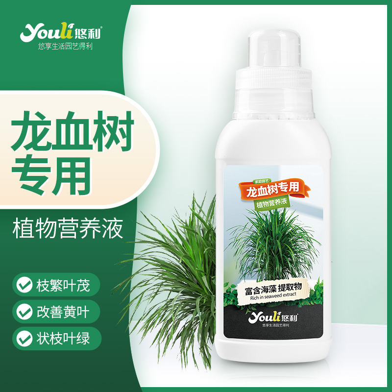 悠利龙血树专用营养液