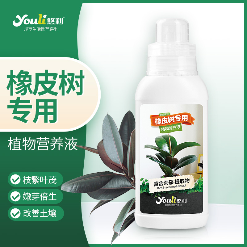 悠利橡皮树专用营养液
