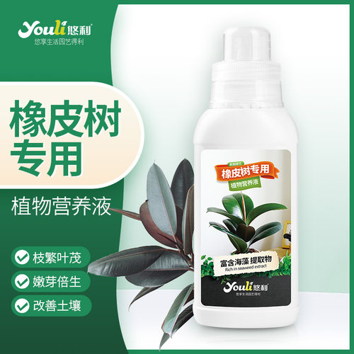 悠利橡皮树专用营养液