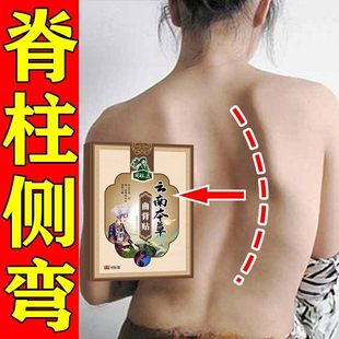 侧弯脊柱矫正器支具含胸背驼成人儿童高低肩专用弯腰背驼正骨贴膏