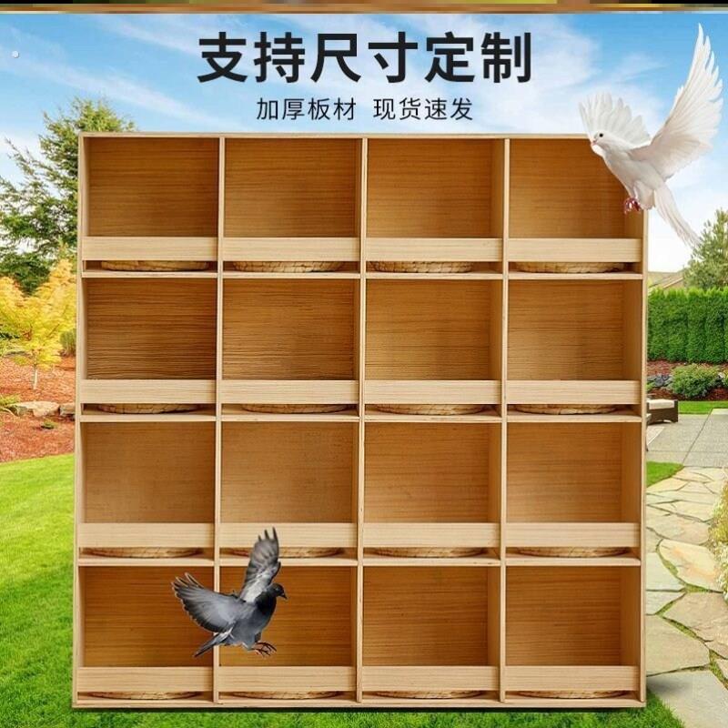 鸽子笼拼装箱实木加厚鸽子窝赛鸽巢箱信鸽养殖配对箱家用阳台鸽笼