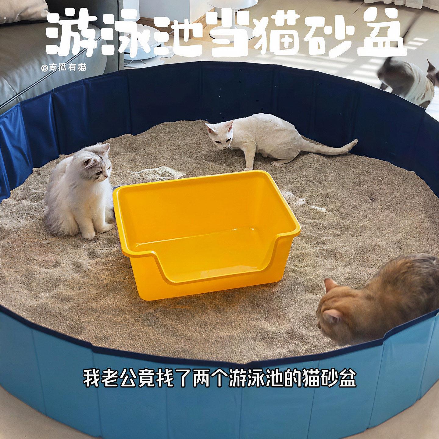 可折叠猫砂盆可携式环保超大号猫厕所防外溅游泳池宠物一次性猫砂