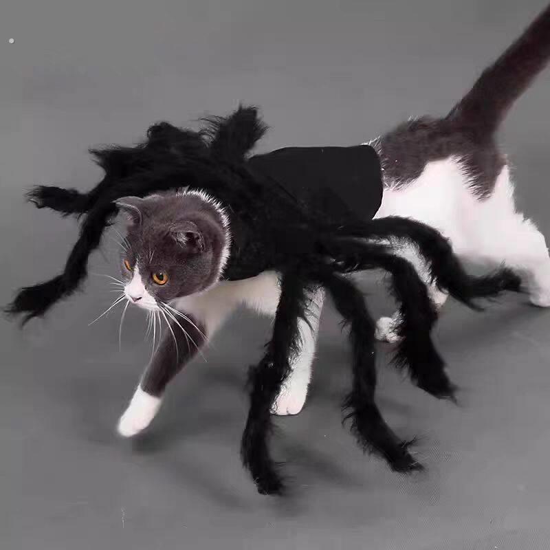 猫咪蜘蛛衣服宠物蜘蛛衣小狗猫咪恐怖仿真毛绒蜘蛛变身装派对装扮