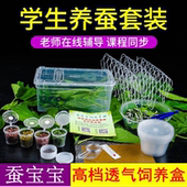 蚕宝宝学生养蚕套装 蚕卵活体幼蚕春蚕七彩实验课小蚕送桑叶工具