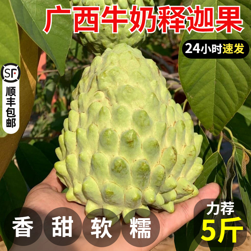 【广西牛奶释迦】新鲜水果正宗凤梨释迦5斤大果香甜精品包邮整箱