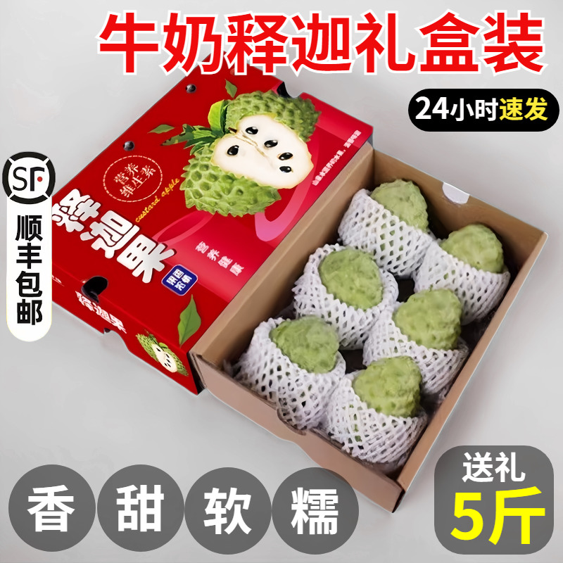 【广西牛奶释迦】新鲜水果正宗凤梨释迦9斤香甜送礼 番荔枝礼盒装