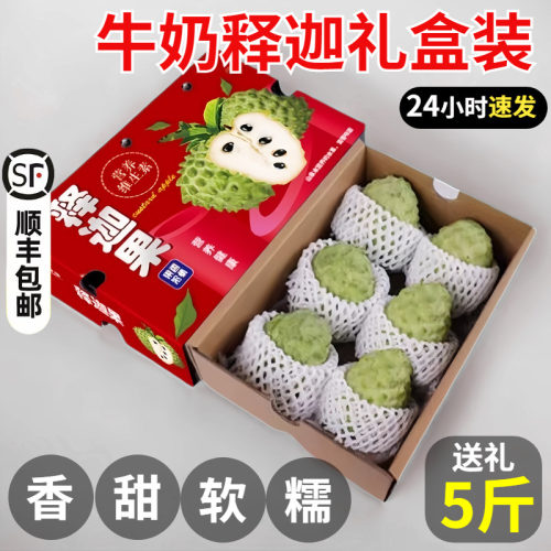 【广西牛奶释迦】新鲜水果正宗凤梨释迦5斤香甜送礼 番荔枝礼盒装
