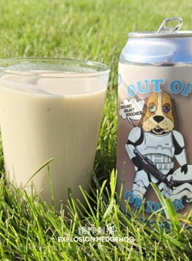 艾尔复兴 无序蓝色牛奶西瓜草莓果泥酸艾尔进口精酿啤酒