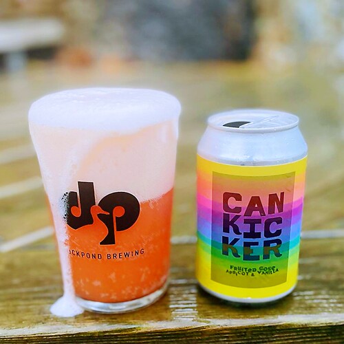 进口酸艾尔/IPA口粮精酿啤酒