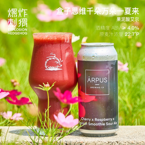 空运进口盒子思维果泥精酿啤酒