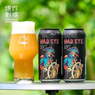 口粮！新西兰幻视/金兰姐妹浑浊IPA/酒花皮尔森/世涛进口精酿啤酒