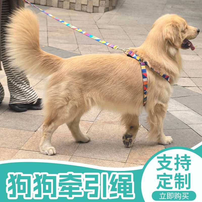 跨境狗狗雪橇胸背带哈士奇拉布拉多宠物可伸缩牵引绳厂家现货大狗