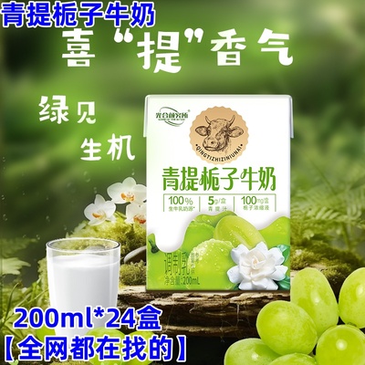 青提栀子牛奶200ml*24盒