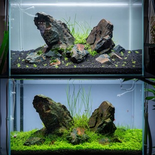 黑云石草缸定制高品质骨架定制沉木造景岩组造景ADA自然风格订制