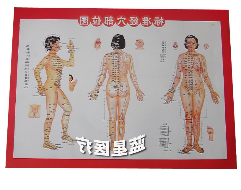女性人体经络图挂图/穴位图常用病例灸参施考双面图