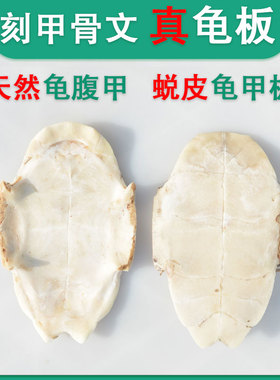 甲骨文龟壳去皮龟甲板乌龟腹甲雕刻手工刻字脱皮中华龟腹骨龟壳模