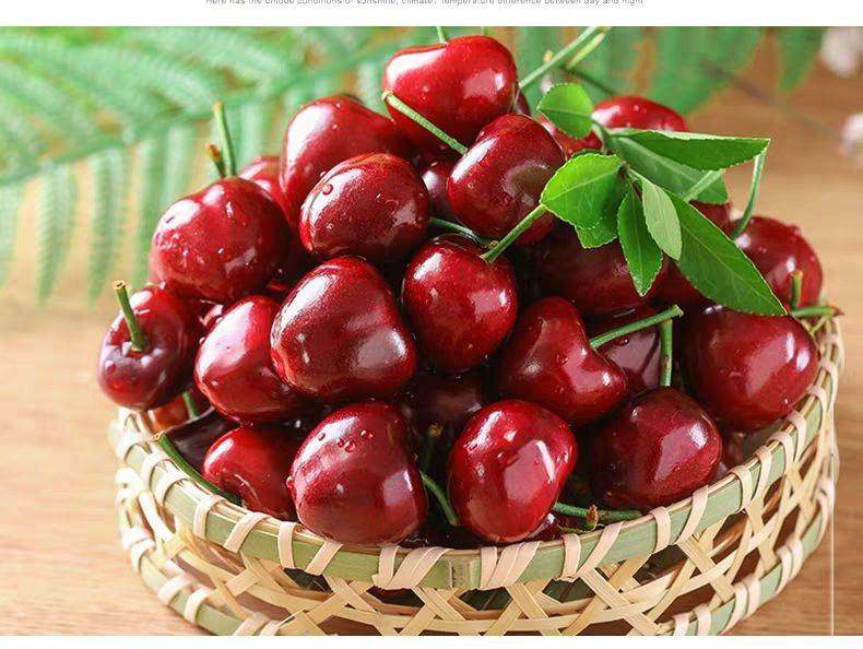 汉源车厘子大樱桃红灯新鲜现摘4斤装包邮产地直发