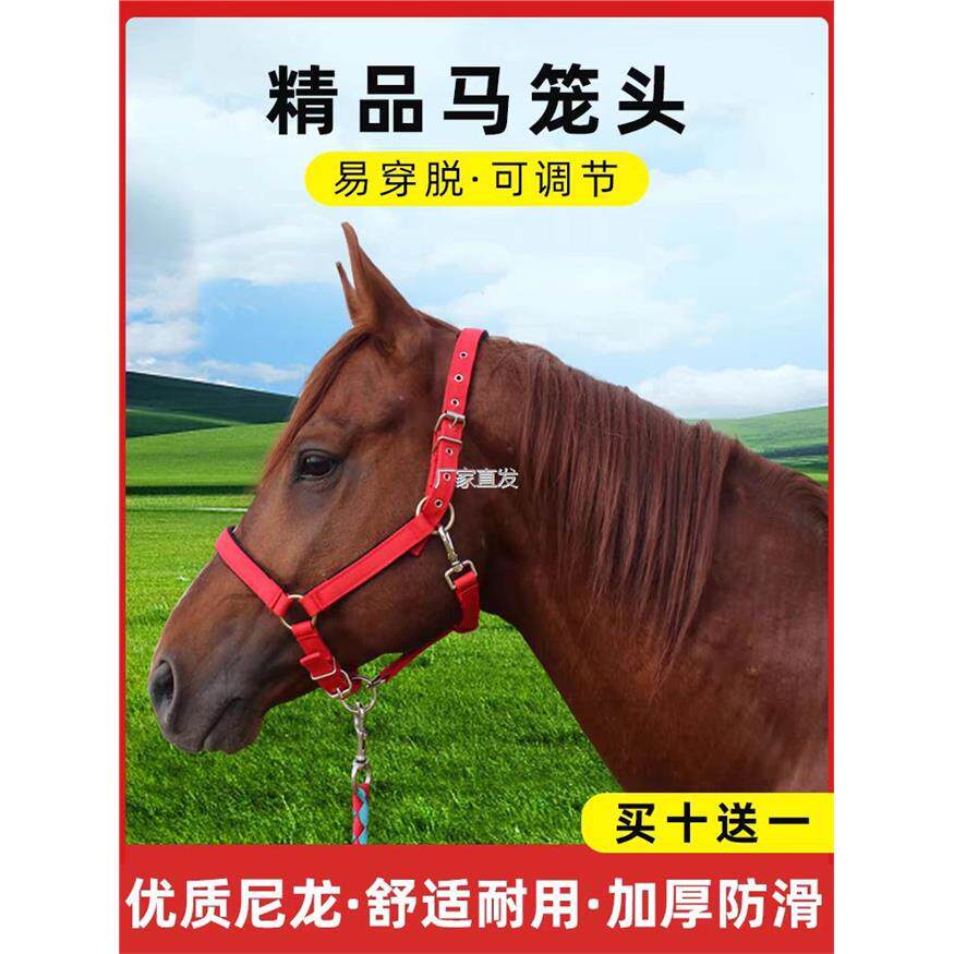 马笼头绳子马术用品套大