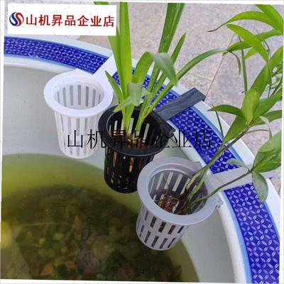 .绿植挂篮水培红薯篮水培定植篮造景装饰配件S古法鱼缸水培挂篮